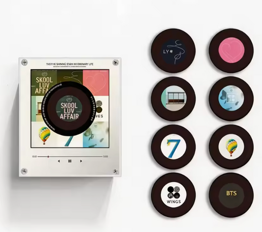 Mini Vinyl Music Player